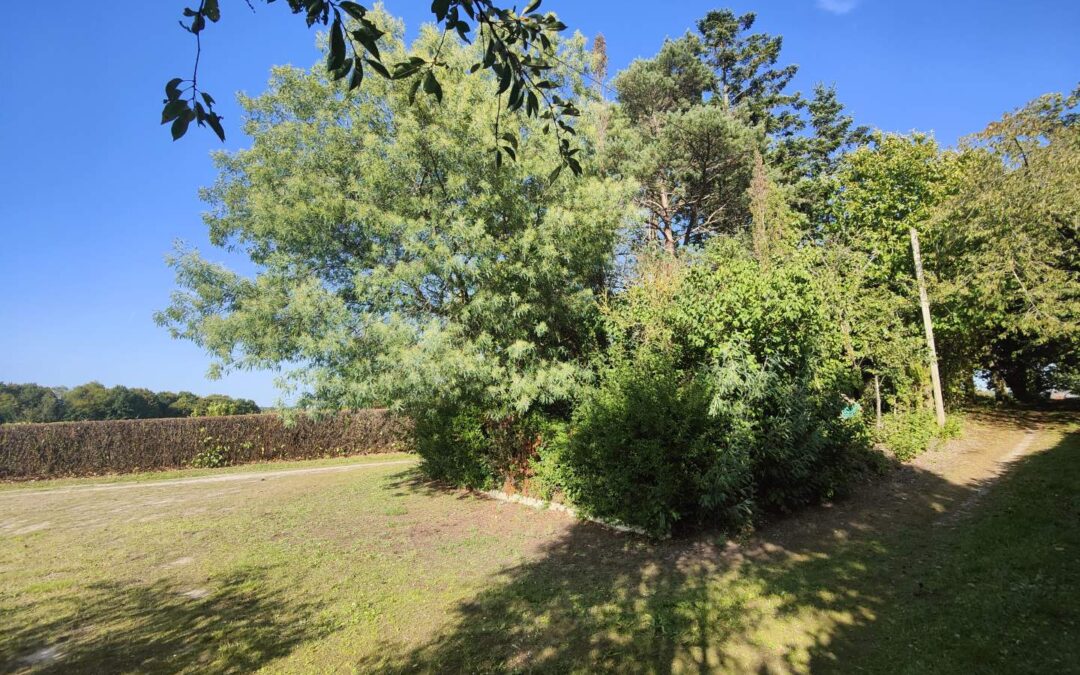 Maison d’habitation cesson sevigne – réf 097/2639