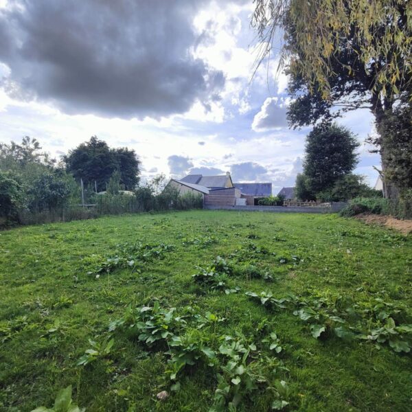 Maison d'habitation à rénover LANDUJAN - réf 097/2649