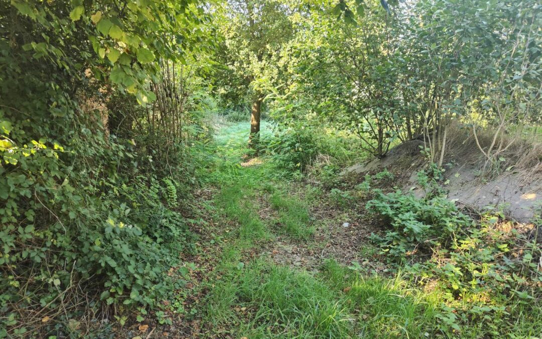 Terrain à bâtir NOUVOITOU – réf 097/2668