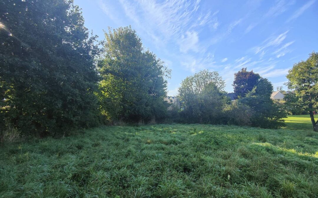 Terrain à bâtir NOUVOITOU – réf 097/2810