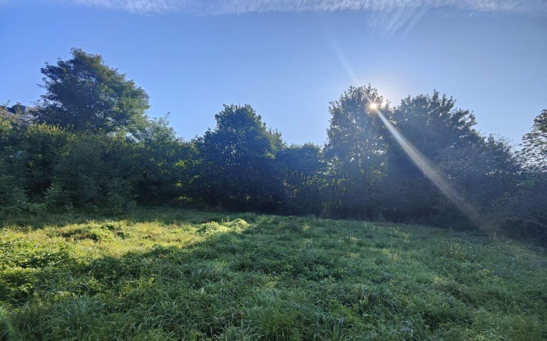 Terrain à bâtir NOUVOITOU – réf 097/2810